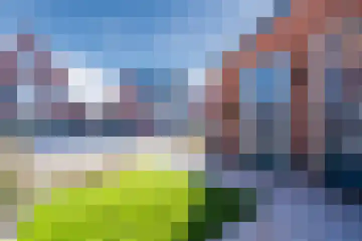 Breelantsoort 4 Broek op Langedijk thumbnail 8