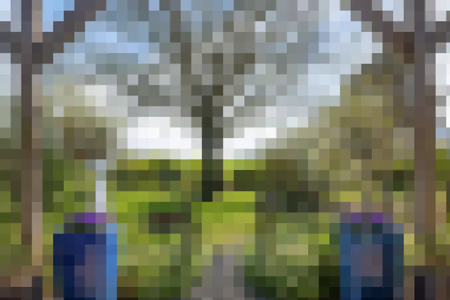 Breelenswei 4 Mirns thumbnail 15