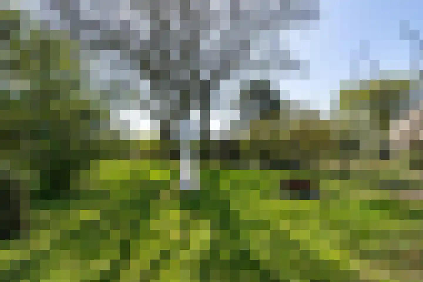 Breelenswei 4 Mirns thumbnail 38