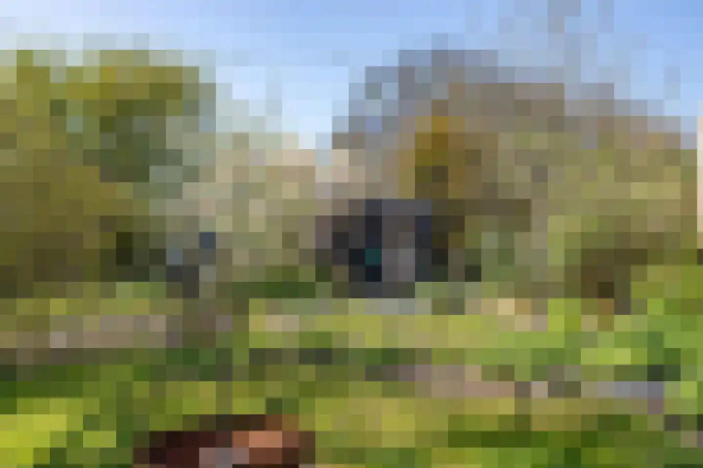 Breelenswei 4 Mirns thumbnail 39