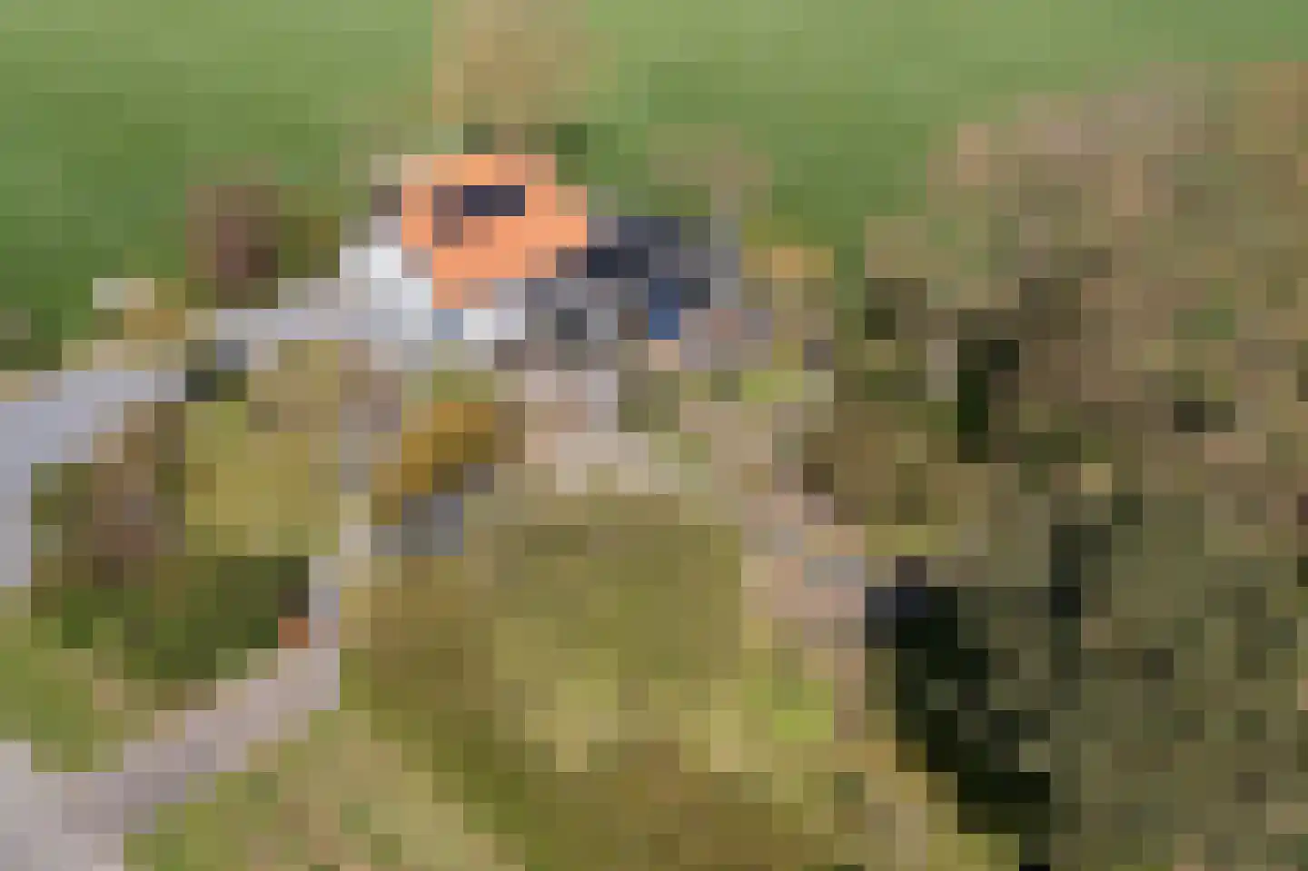 Breelenswei 4 Mirns thumbnail 47