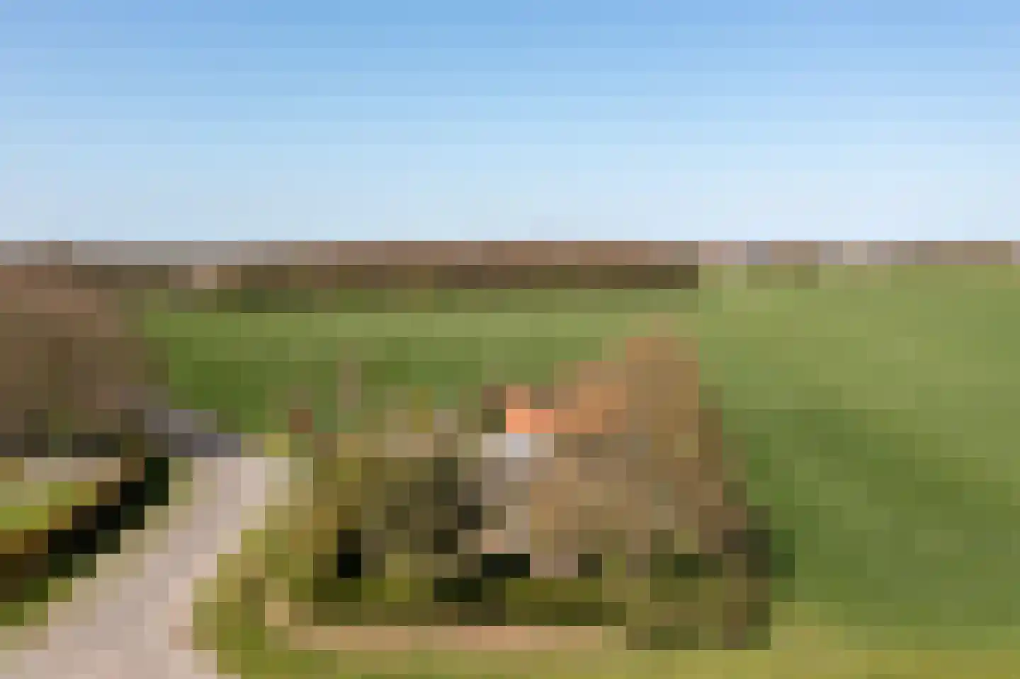 Breelenswei 4 Mirns thumbnail 49