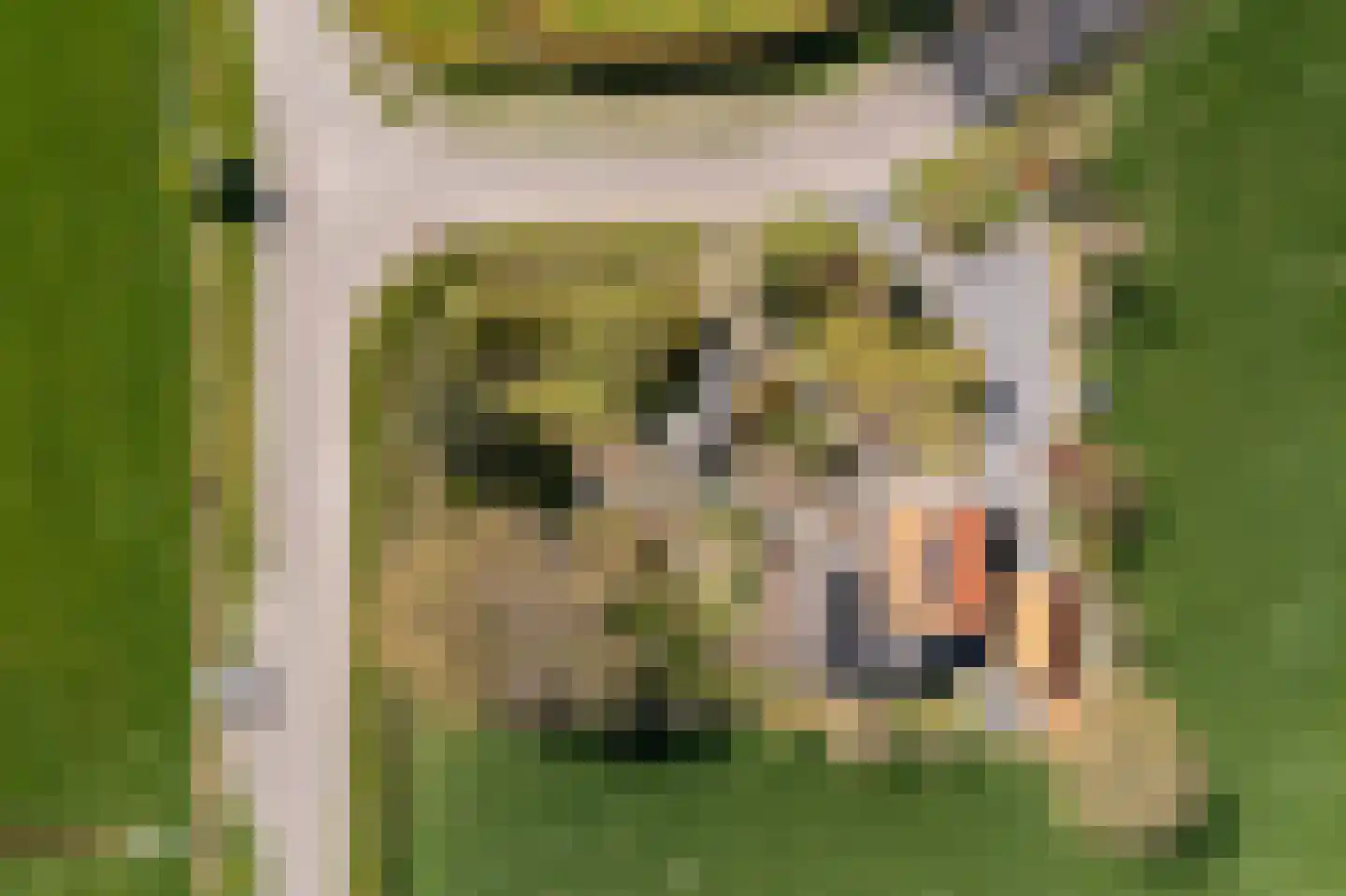 Breelenswei 4 Mirns thumbnail 50