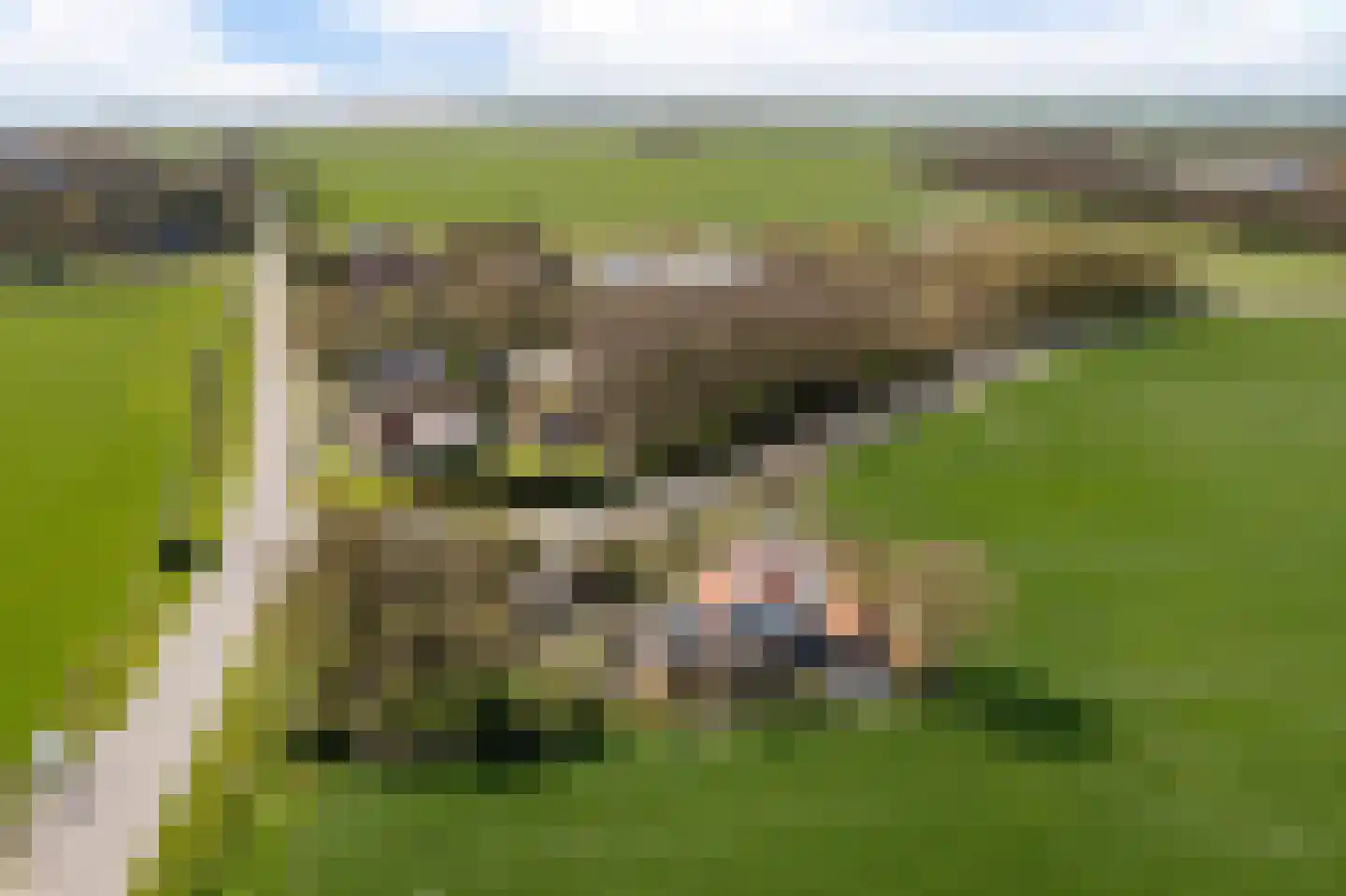 Breelenswei 4 Mirns thumbnail 51
