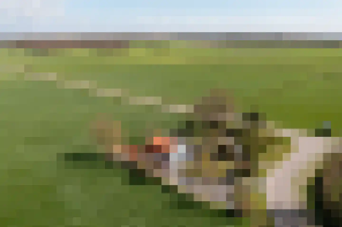 Breelenswei 4 Mirns thumbnail 52