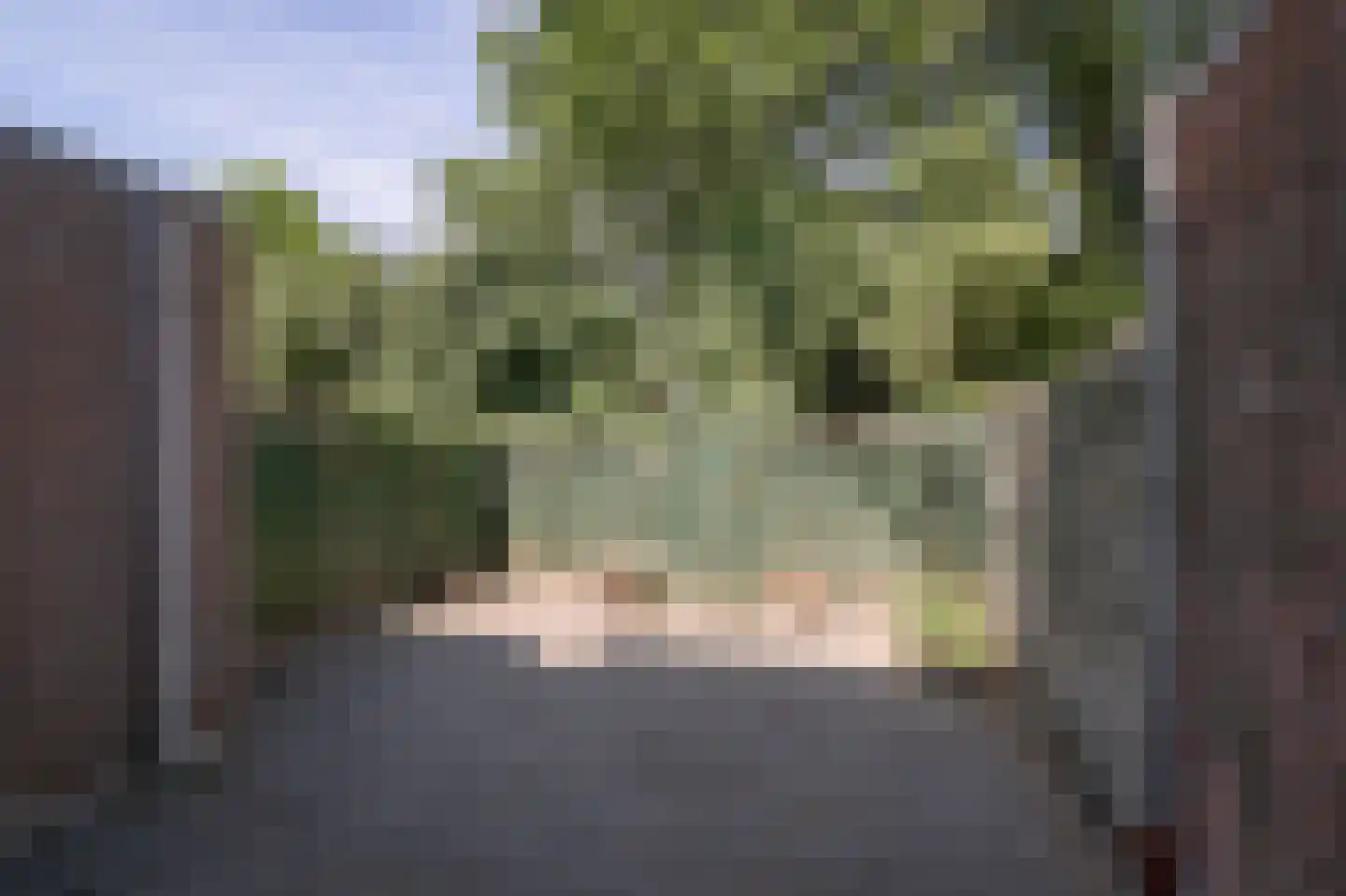 Breemakkergaard 18 Maastricht thumbnail 19