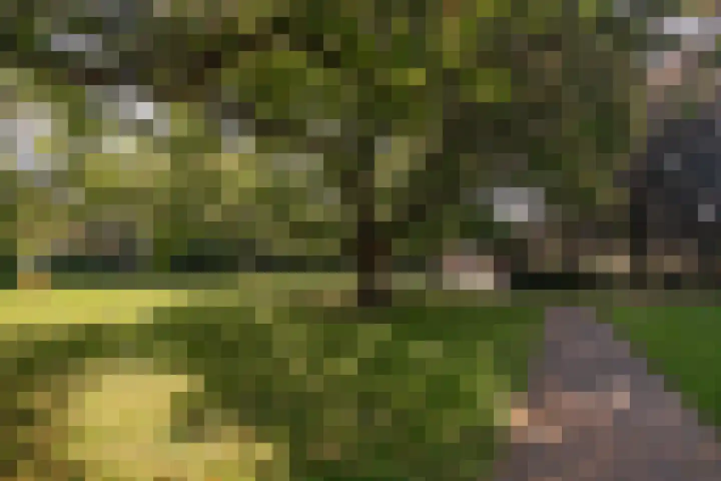 Breemakkergaard 18 Maastricht thumbnail 21
