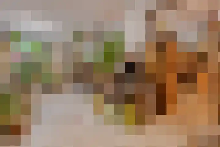 Breemarsweg 1 Hengelo thumbnail 12