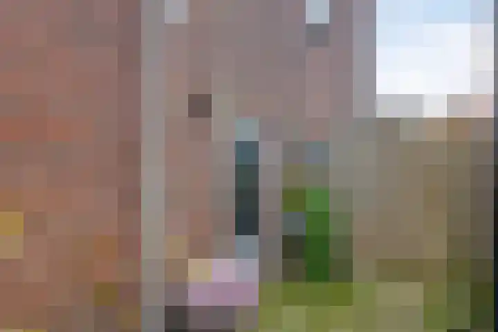 Breemarsweg 1 Hengelo thumbnail 22