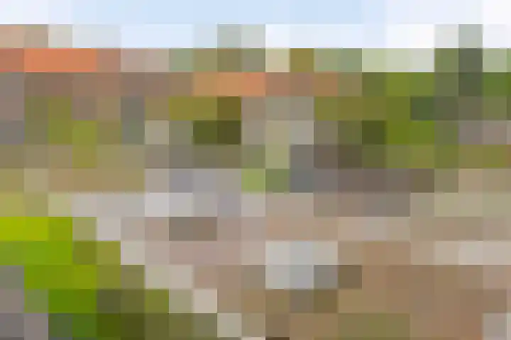 Breemarsweg 1 Hengelo thumbnail 34