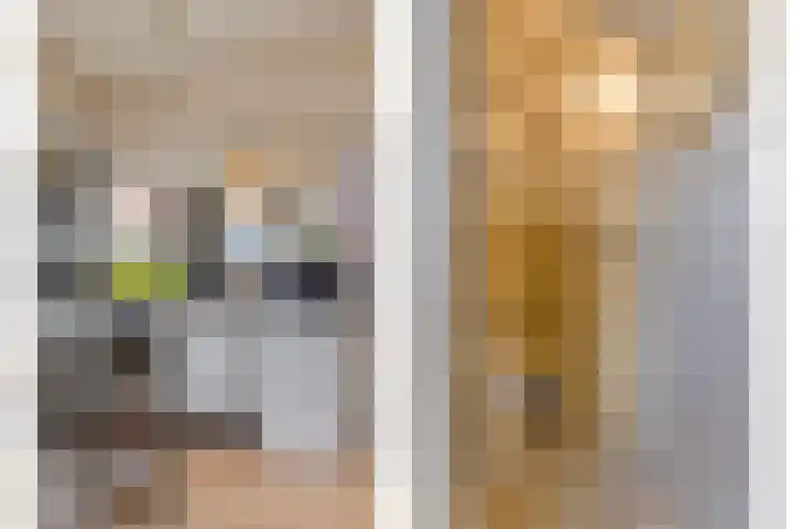 Breemarsweg 1 Hengelo thumbnail 35