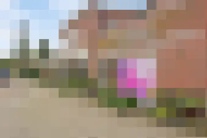 Breemarsweg 1 Hengelo thumbnail 7