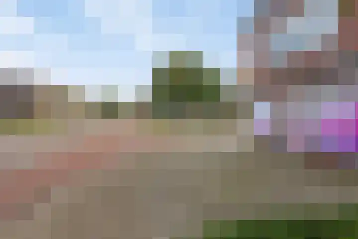 Breemarsweg 1 Hengelo thumbnail 8
