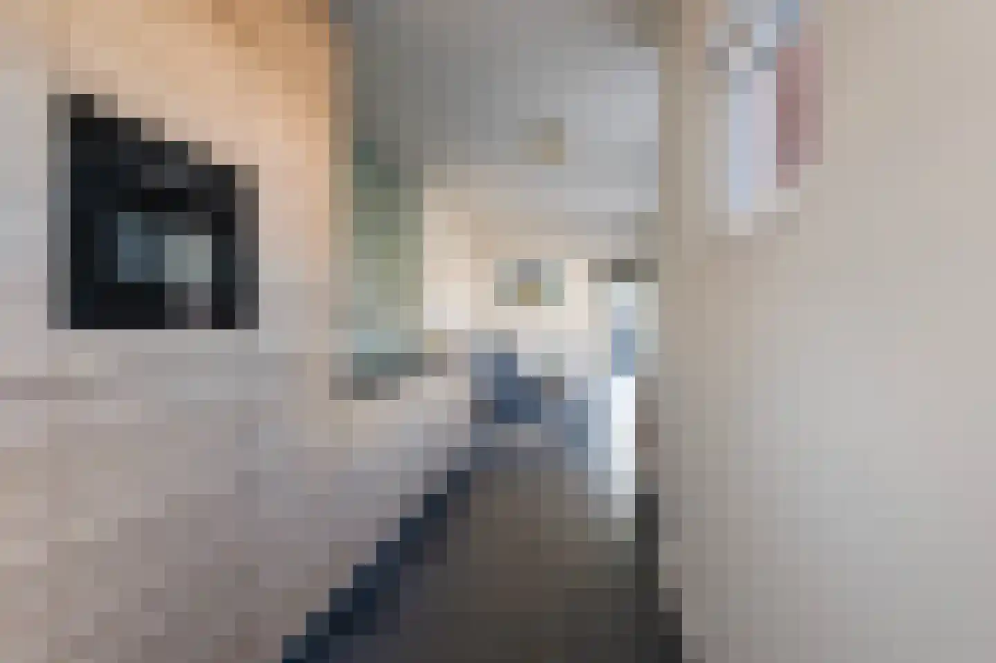 Breemarsweg 101 Hengelo thumbnail 19