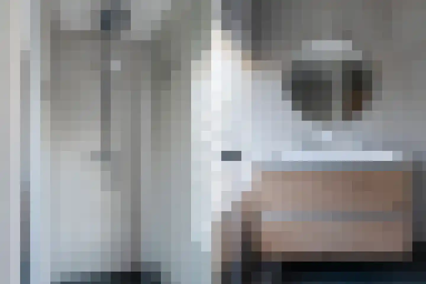 Breemarsweg 101 Hengelo thumbnail 34