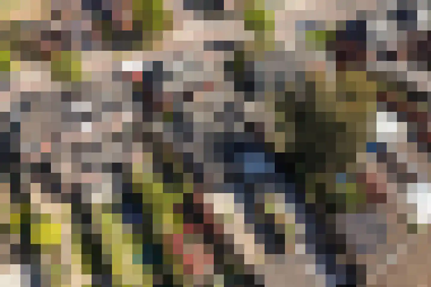 Breemarsweg 101 Hengelo thumbnail 45