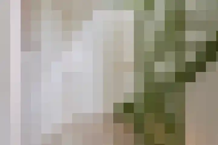 Breemarsweg 114 Hengelo thumbnail 14