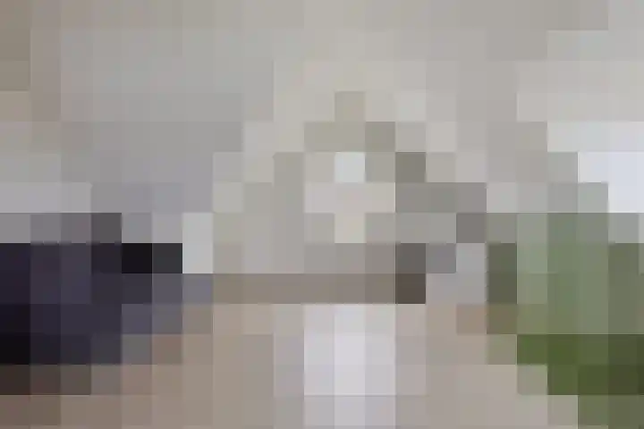 Breemarsweg 114 Hengelo thumbnail 21