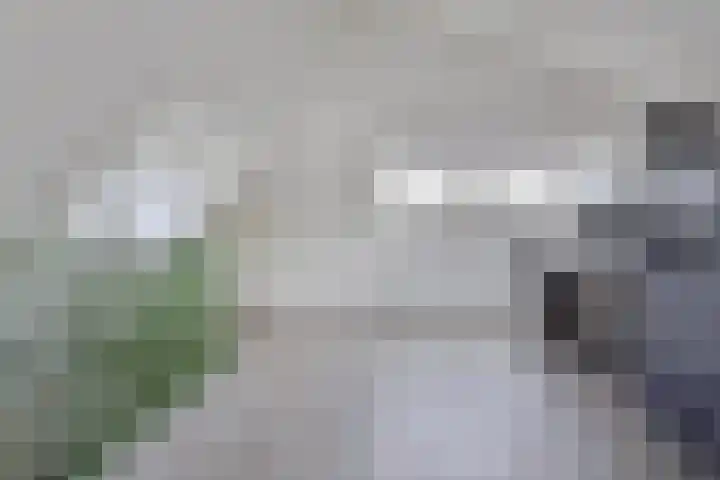 Breemarsweg 114 Hengelo thumbnail 22