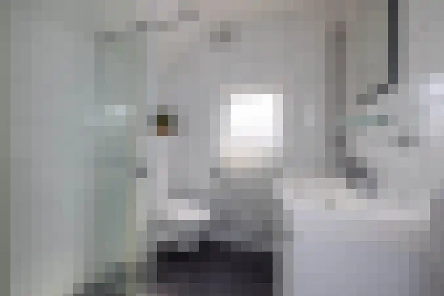 Breemarsweg 116 Hengelo thumbnail 21