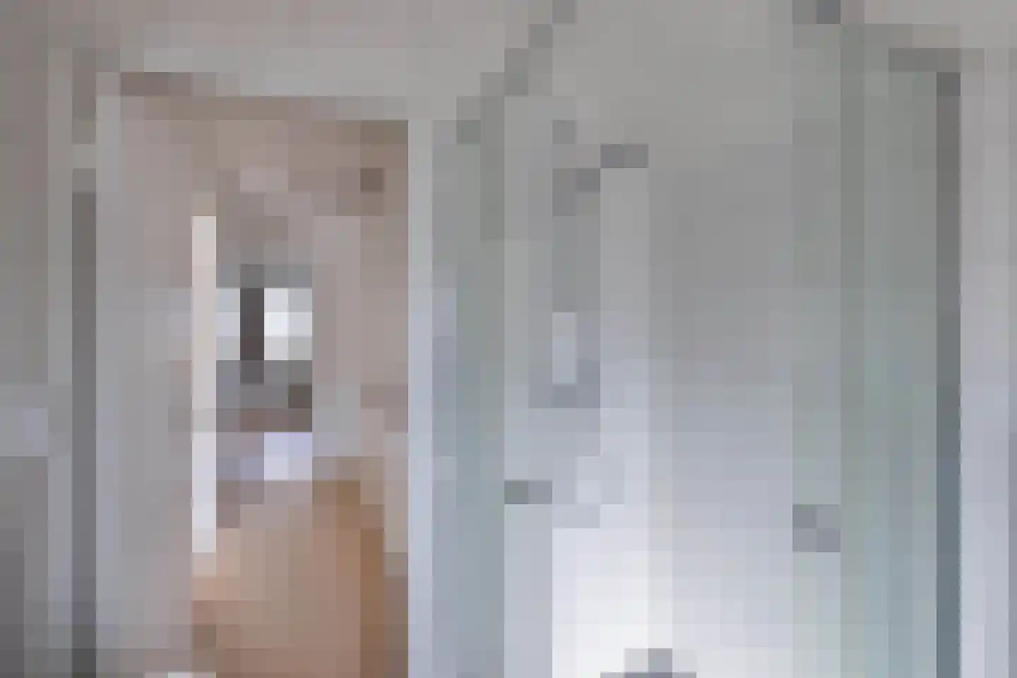 Breemarsweg 116 Hengelo thumbnail 22