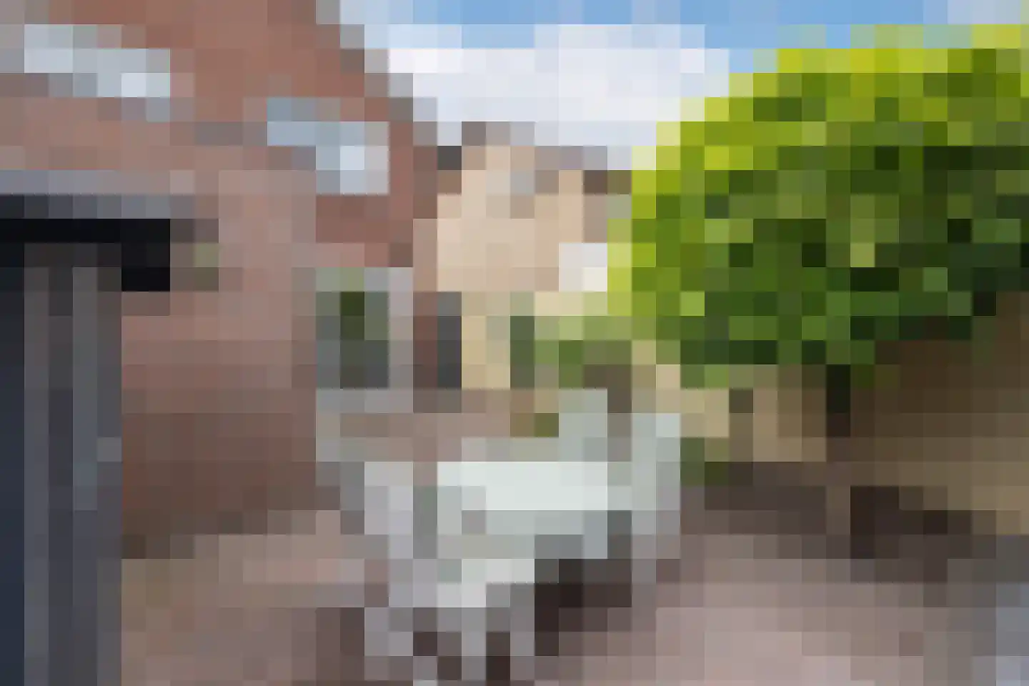 Breemarsweg 116 Hengelo thumbnail 23