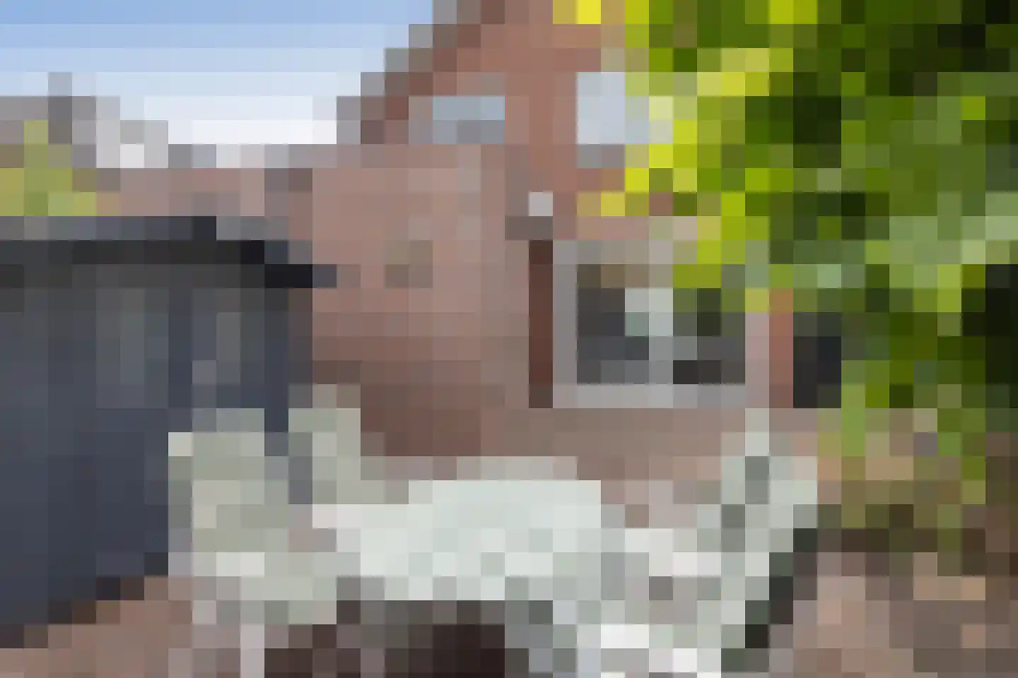 Breemarsweg 116 Hengelo thumbnail 24