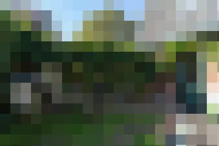 Breemarsweg 119 Hengelo thumbnail 22