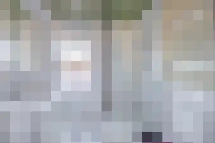 Breemarsweg 147 Hengelo thumbnail 23