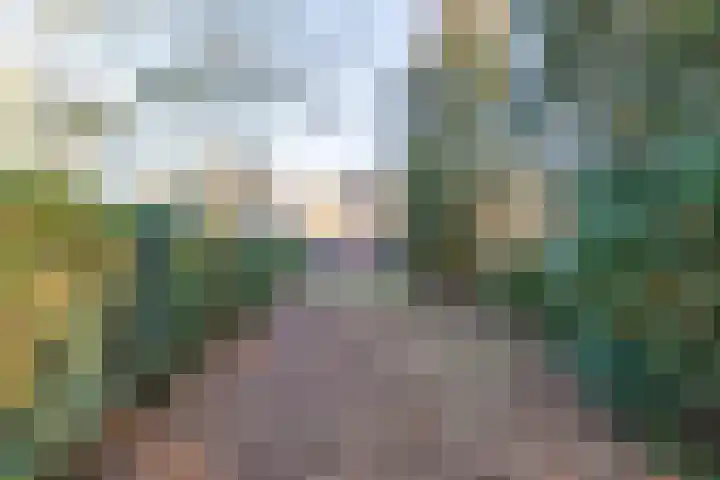 Breemarsweg 147 Hengelo thumbnail 27