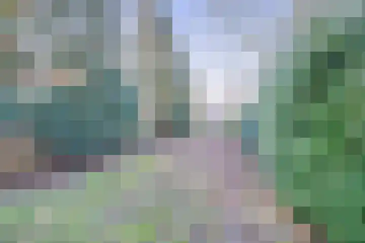 Breemarsweg 147 Hengelo thumbnail 31