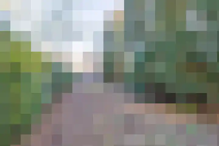 Breemarsweg 147 Hengelo thumbnail 33