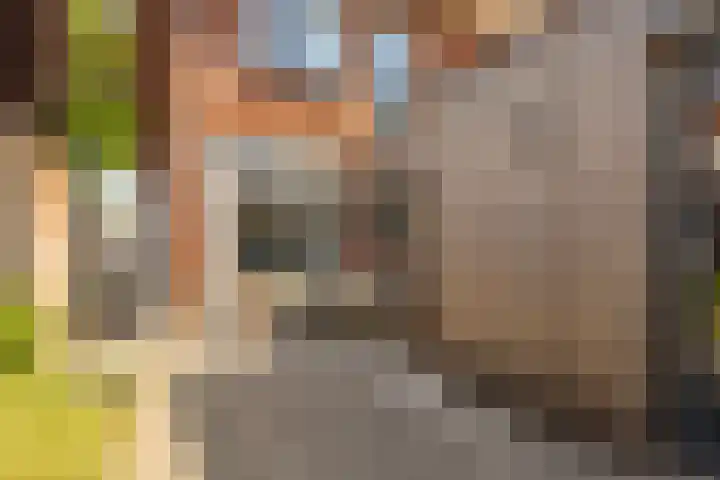 Breemarsweg 193 Hengelo thumbnail 27