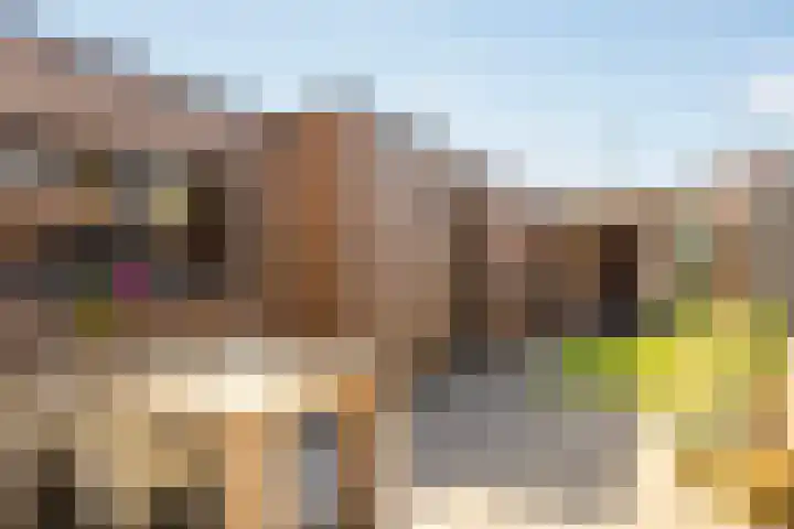 Breemarsweg 193 Hengelo thumbnail 29