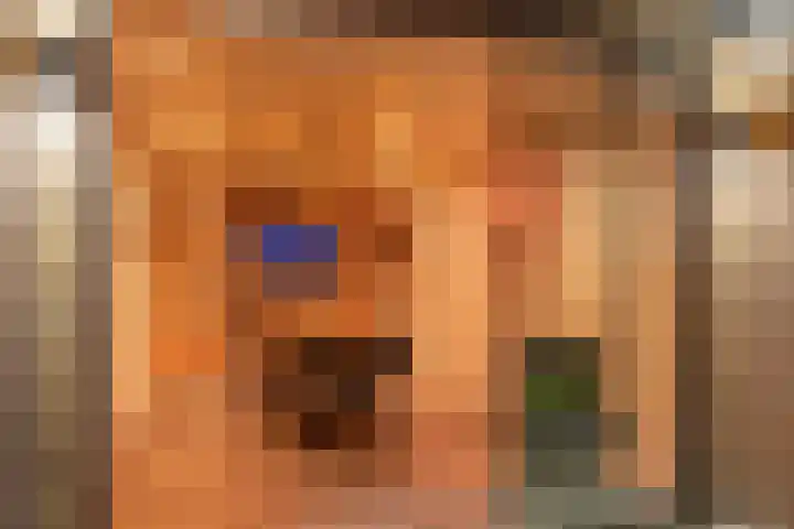Breemarsweg 193 Hengelo thumbnail 31