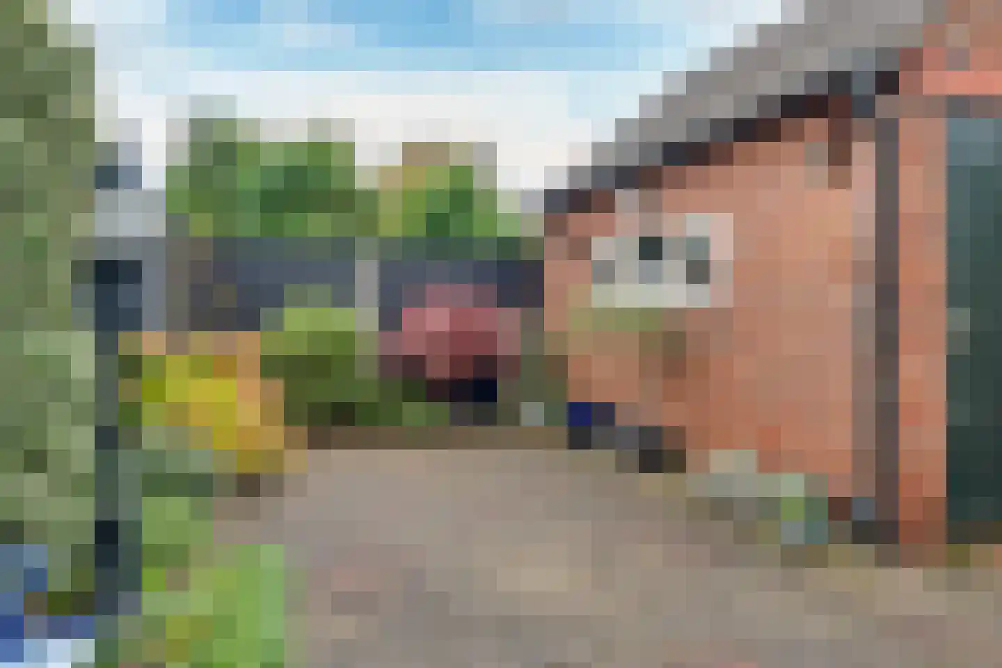 Breemarsweg 20 Hengelo thumbnail 25
