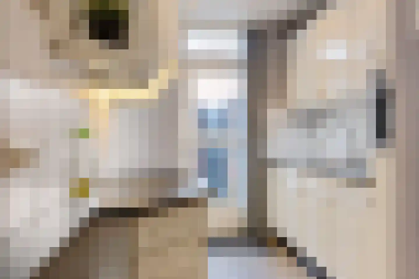 Breemarsweg 20 Hengelo thumbnail 4
