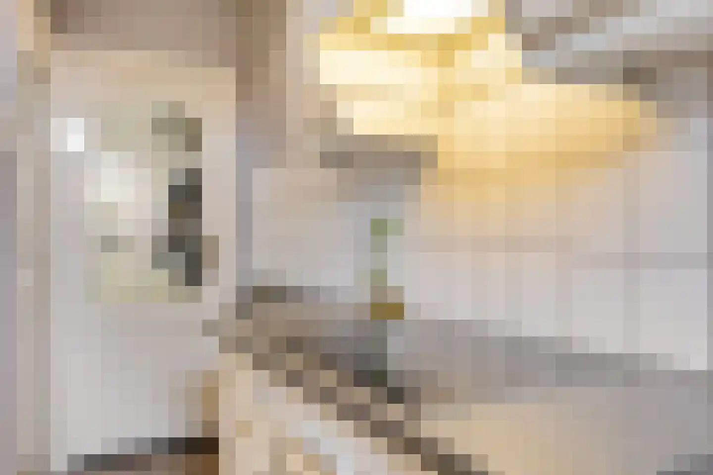 Breemarsweg 20 Hengelo thumbnail 8