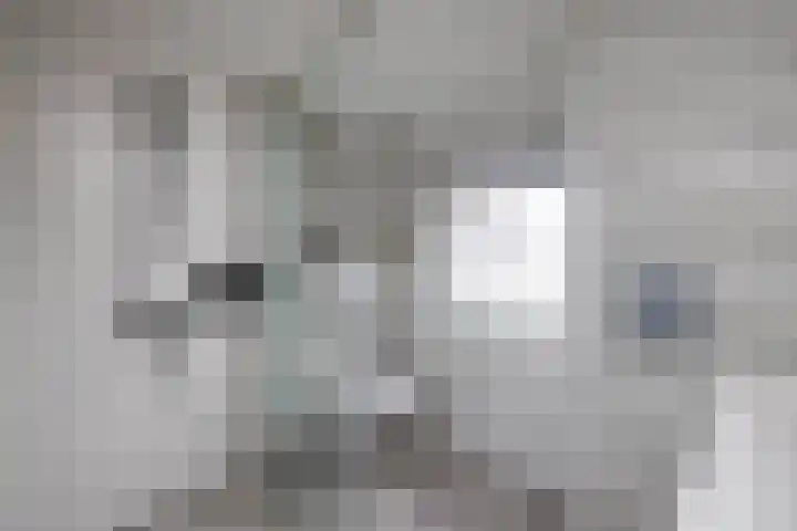 Breemarsweg 207 Hengelo thumbnail 17