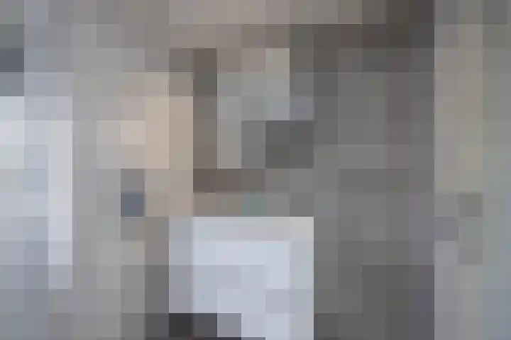 Breemarsweg 207 Hengelo thumbnail 18
