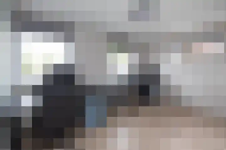 Breemarsweg 207 Hengelo thumbnail 20
