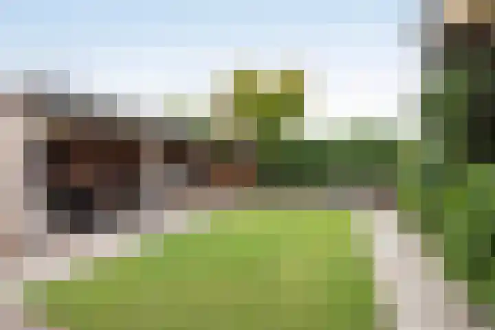 Breemarsweg 207 Hengelo thumbnail 22