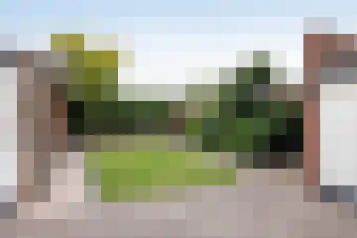 Breemarsweg 207 Hengelo thumbnail 23