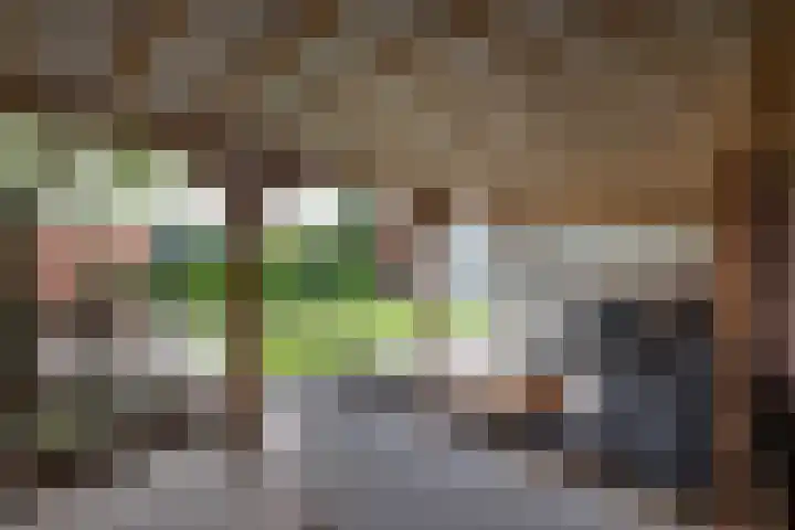 Breemarsweg 207 Hengelo thumbnail 25