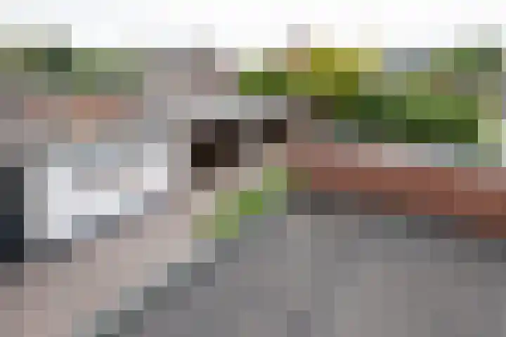 Breemarsweg 207 Hengelo thumbnail 29