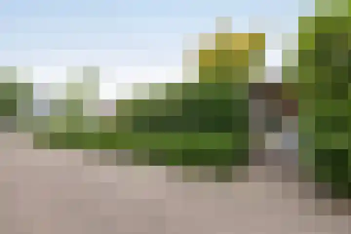 Breemarsweg 207 Hengelo thumbnail 30