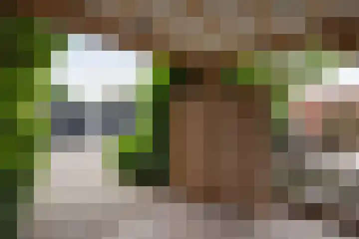 Breemarsweg 207 Hengelo thumbnail 31