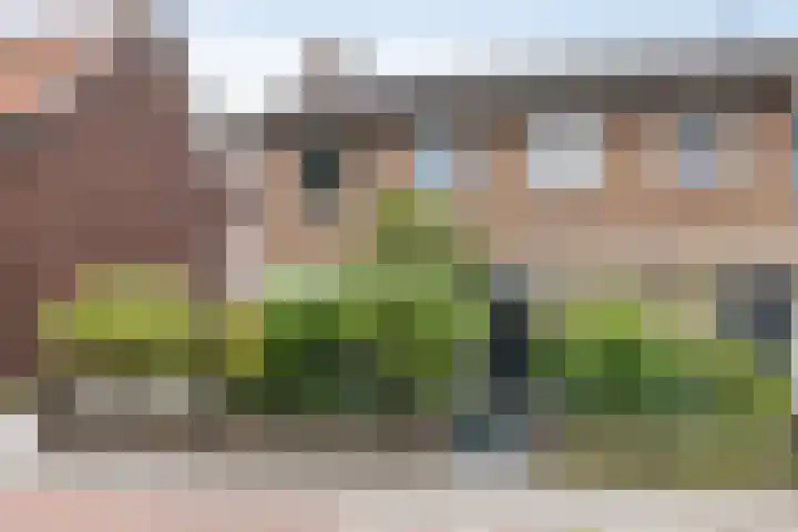 Breemarsweg 207 Hengelo thumbnail 32