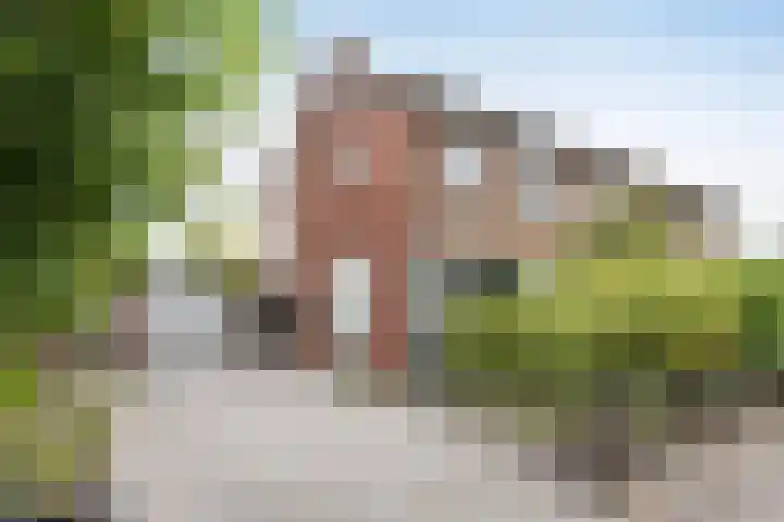 Breemarsweg 207 Hengelo thumbnail 33
