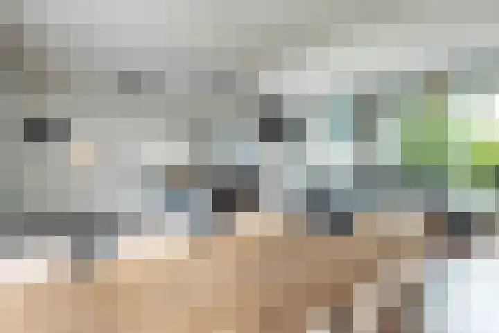 Breemarsweg 207 Hengelo thumbnail 9